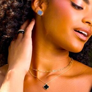 Park Lane Lana earrings 🖤🖤🖤 gorgeous - NWTO!!! In box and pkg 🖤